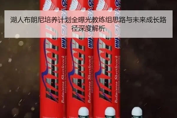 湖人布朗尼培养计划全曝光教练组思路与未来成长路径深度解析